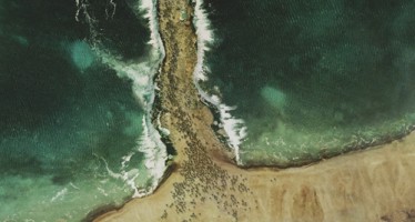 Moses (Hazrat Musa (السلام علیہ)) biography and History