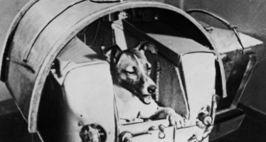 FIRST ANIMAL ON MOON